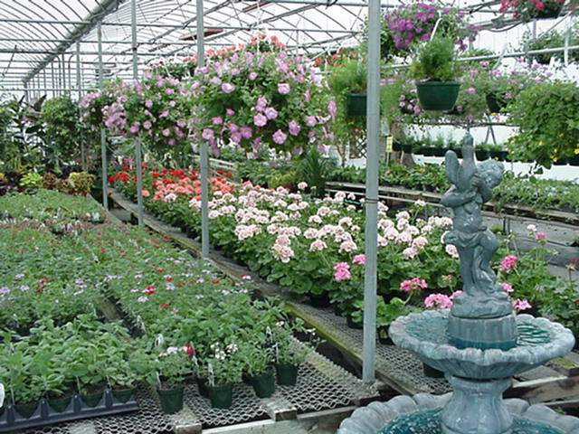inside-greenhouse